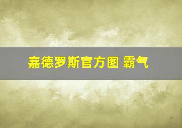 嘉德罗斯官方图 霸气